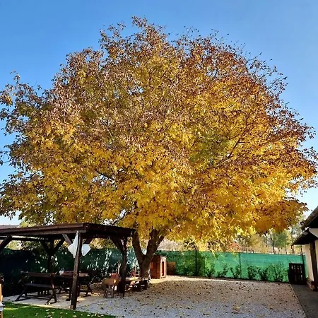 A Mi Kisházunk Appartement *