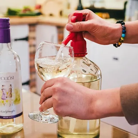 A Mi Kisházunk Appartement